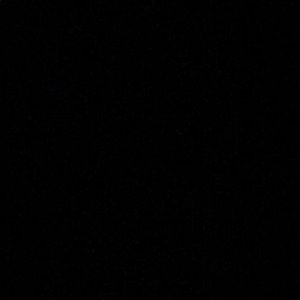 Meet your Posher, Dylan